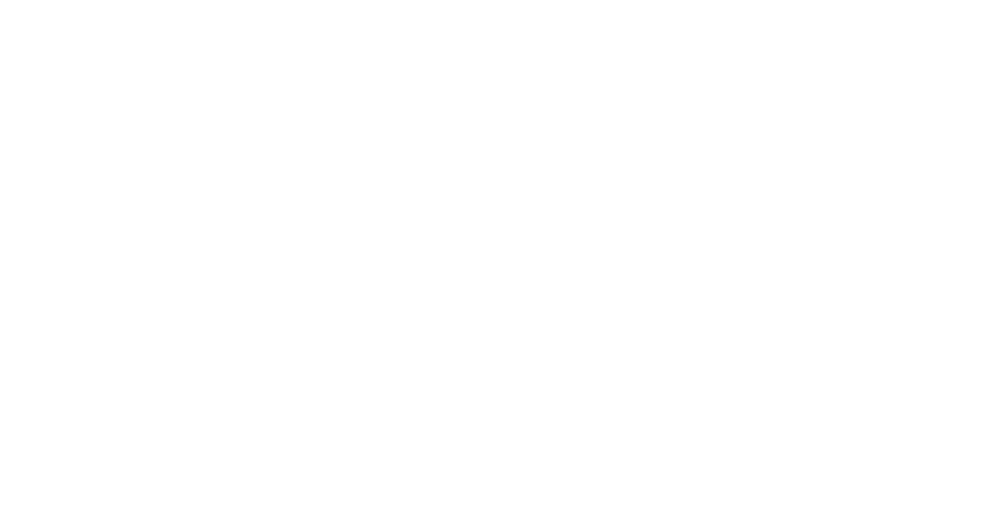 Elk Finance team